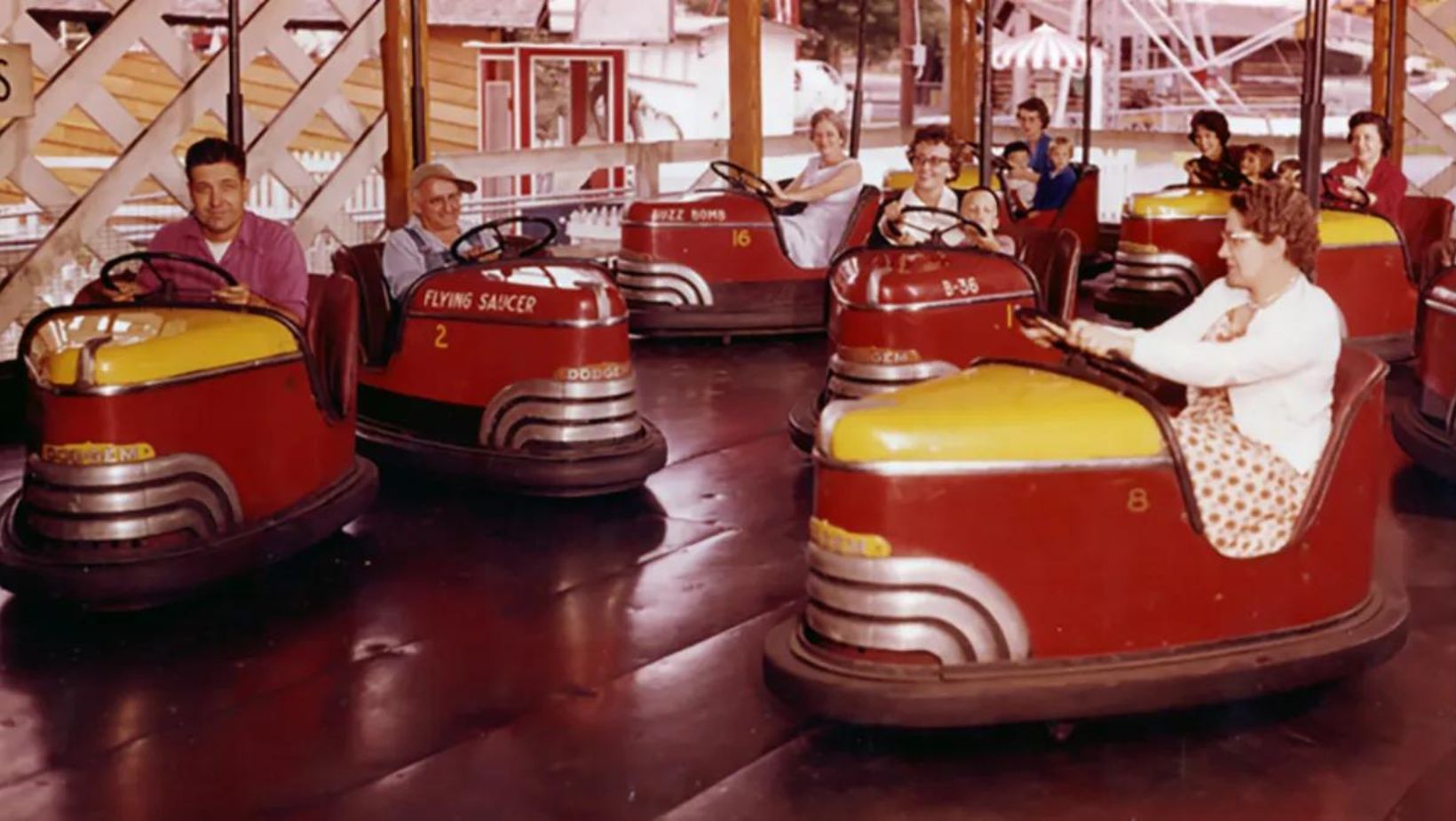 Adult Bumper Cars